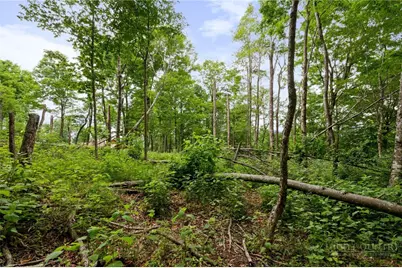 Lot 41 Skycamp Trail, Banner Elk, NC 28604 - Photo 11