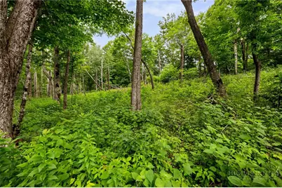 Lot 41 Skycamp Trail, Banner Elk, NC 28604 - Photo 9