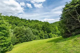 353 Woodbriar Dr, Sugar Grove, NC 28679 - Photo 45