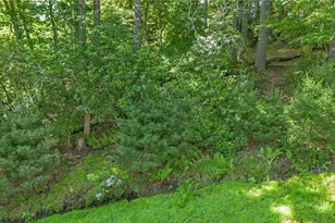 324 Hidden Spring Rd, West Jefferson, NC 28694 - Photo 41