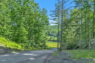 324 Hidden Spring Rd, West Jefferson, NC 28694 - Photo 11