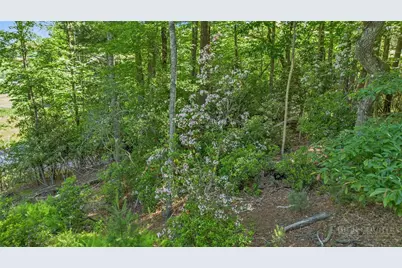 324 Hidden Spring Road, West Jefferson, NC 28694 - Photo 37