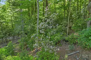 324 Hidden Spring Rd, West Jefferson, NC 28694 - Photo 37