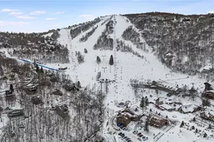 106 Kick Turn Ln, Beech Mountain, NC 28604 - Photo 49