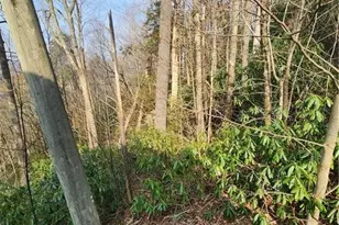 Tbd Old Chestnut Rd, Banner Elk, NC 28604 - Photo 1
