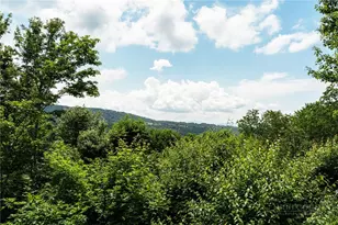 110 Upper Snowbird Trail, Beech Mountain, NC 28604 - Photo 9