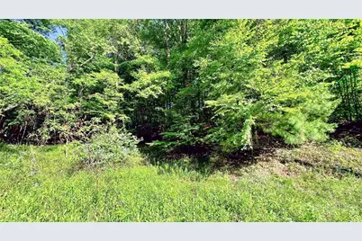 Tbd-13 Peck Peak Road, Jefferson, NC 28640 - Photo 11