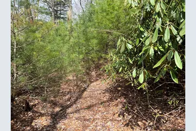 Lots 1, 3 & 5 Cora's Path, Blowing Rock, NC 28605 - Photo 11