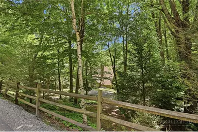 179 Hornbeam Road, Beech Mountain, NC 28604 - Photo 45