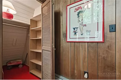 179 Hornbeam Road, Beech Mountain, NC 28604 - Photo 23