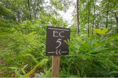 Lot Ec-5 Eagle Crest Trail, Elk Park, NC 28622 - Photo 1