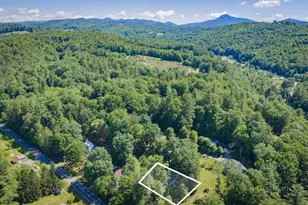 56 Raccoon Ln, Newland, NC 28657 - Photo 19