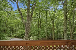 115 S Hickory Ln, Beech Mountain, NC 28604 - Photo 49