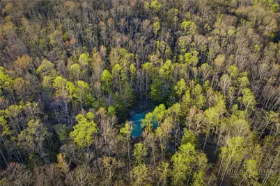 163 Bear Track Lane, Vilas, NC 28692 - Photo 15