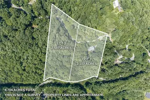 3947 Blackberry Crest Ln, Lenoir, NC 28645 - Photo 5