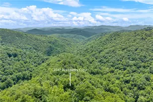 3947 Blackberry Crest Ln, Lenoir, NC 28645 - Photo 49