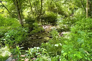 10221 Nc Hwy 105 S, Banner Elk, NC 28604 - Photo 29