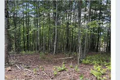 Lot 22 Woodland Circle, Jefferson, NC 28640 - Photo 5