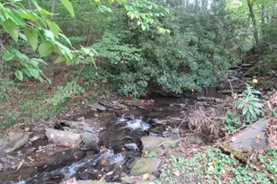 2890 Old Hwy 16, Jefferson, NC 28640 - Photo 13