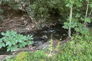 2890 Old Hwy 16, Jefferson, NC 28640 - Photo 5