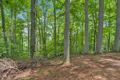 B & C Lost Branch Trail, Vilas, NC 28692 - Photo 7