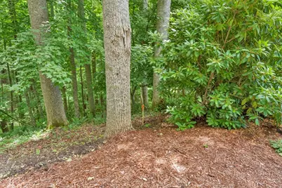 B & C Lost Branch Trail, Vilas, NC 28692 - Photo 3