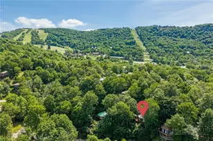 104 Fawn Ln, Beech Mountain, NC 28604 - Photo 7
