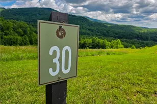 30 Wilderness Watch Trace, Deep Gap, NC 28618 - Photo 1