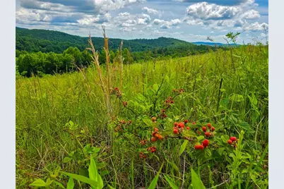 30 Wilderness Watch Trace, Deep Gap, NC 28618 - Photo 15