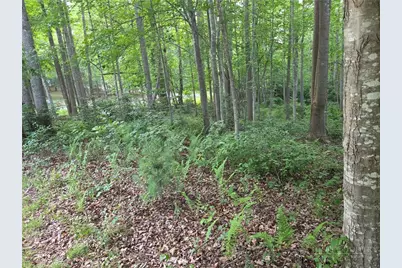 Tbd W Meadow Parkway, Moravian Falls, NC 28654 - Photo 7