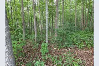 Tbd W Meadow Parkway, Moravian Falls, NC 28654 - Photo 5
