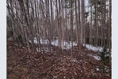 Tbd W Meadow Parkway, Moravian Falls, NC 28654 - Photo 19