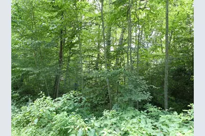 Lot 17 Farm Loop Road, Banner Elk, NC 28604 - Photo 3