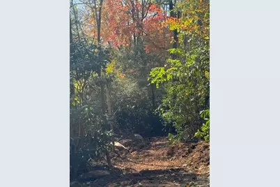 Lot 17 Farm Loop Road, Banner Elk, NC 28604 - Photo 3