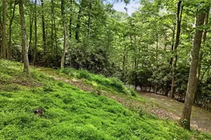176 Ravens View, Boone, NC 28607 - Photo 37