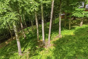 176 Ravens View, Boone, NC 28607 - Photo 35