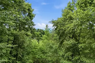176 Ravens View, Boone, NC 28607 - Photo 29