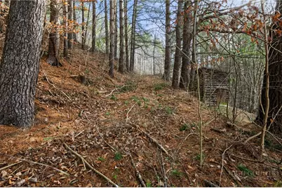 336 Willowdale Church Road, Vilas, NC 28692 - Photo 37