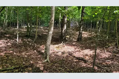 215 Overbrook Trail, Beech Mountain, NC 28604 - Photo 5