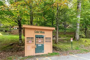 220 Charter Hills Rd, Beech Mountain, NC 28604 - Photo 17