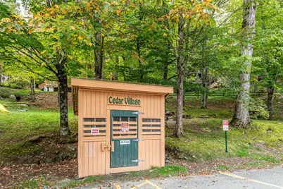 220 Charter Hills Road #C3, Beech Mountain, NC 28604 - Photo 11