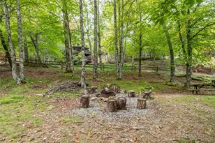 220 Charter Hills Rd, Beech Mountain, NC 28604 - Photo 19