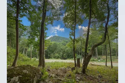 C120 Springwater Lane, Banner Elk, NC 28604 - Photo 5