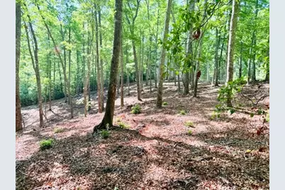 Lot 42 Smoke Rise Path, West Jefferson, NC 28694 - Photo 7