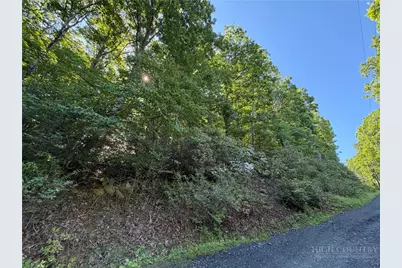 Tbd Indian Lake Drive, West Jefferson, NC 28694 - Photo 1