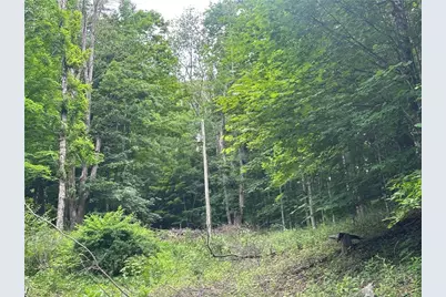 Tbd Chestnut Grove Road, Boone, NC 28607 - Photo 3
