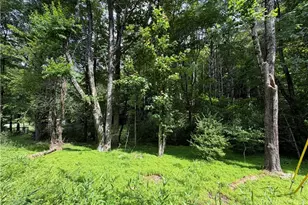 Tbd Kirkwood Heath Rd, Boone, NC 28607 - Photo 1