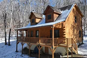 121 Whipporwill Way, Beech Mountain, NC 28604 - Photo 45
