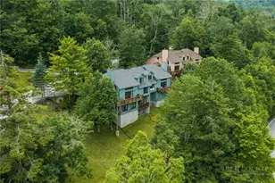 218 Slope View Rd, Sugar Mountain, NC 28604 - Photo 23