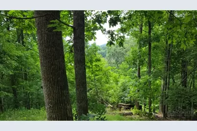 102 Ginger Hollow Road, Newland, NC 28657 - Photo 3